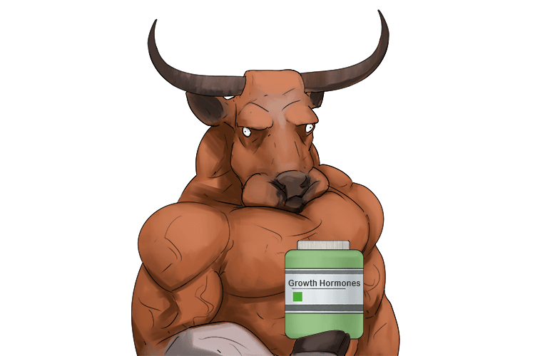 The ox ingested (auxin) too much growth hormone